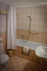 a bathroom with a shower and a tub and a toilet at Erika Apartman in Sárvár