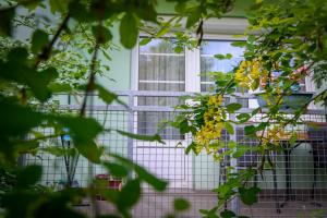 Vonkajšia záhrada v ubytovaní Erika Apartman