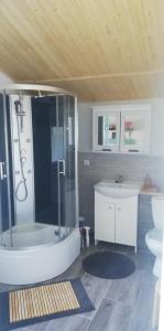 a bathroom with a shower and a sink and a toilet at Domki Spore in Spore