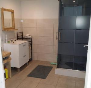 a bathroom with a shower and a sink and a counter at Domki Spore in Spore +13 photos