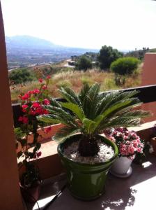 Fotografie z fotogalerie ubytování Evasion La Mairena v destinaci Marbella