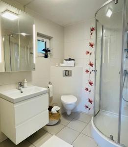 a bathroom with a toilet sink and a shower at Klara w Ogrodzie in Łeba +27 photos