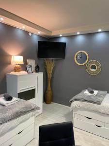 a bedroom with two beds and a tv on the wall at Beta House Apartments in Zaječar