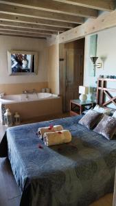 1 dormitorio con 1 cama grande y bañera en Casa Ensueño-Los Sitios de Aravalle, en Gilgarcía