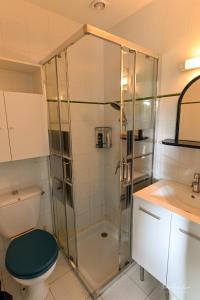 サン・ジル・クロワ・ド・ヴィにあるGÎTE DES FRUCHESのバスルーム(シャワー、トイレ、洗面台付)
