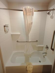 a shower curtain in a bathroom with a sink at Holiday Inn Express & Suites - Jourdanton-Pleasanton, an IHG Hotel in Jourdanton