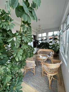 ソポトにあるChopina Loftの椅子とテーブルと植物のある部屋