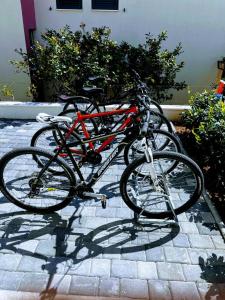 Jazda na bicykli v okolí ubytovania Villa Solenta s grijanim bazenom