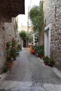 an alley with benches and potted plants in a building at Petrino Vessa in Véssa