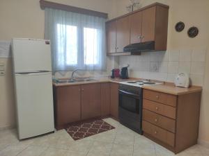 Kuchyň nebo kuchyňský kout v ubytování Bouka Apartment + 37 fotografií