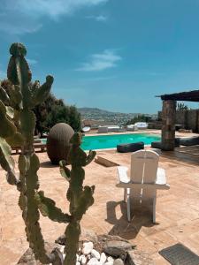 a cactus and a chair next to a swimming pool at Dreamy Boho 5bed Villa with Pool and Ocean View in Mýkonos City