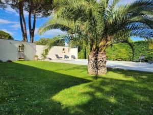 a palm tree in the yard of a house at La Bastide Bleue in Anduze
