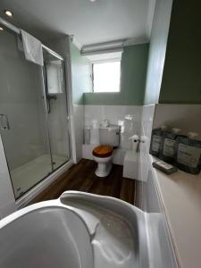 a bathroom with a sink and a shower and a toilet at Queenswood Hotel in Weston-super-Mare