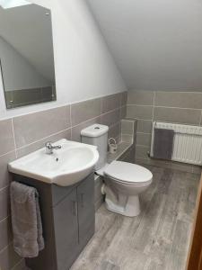 a bathroom with a sink and a toilet at Luxury Studio Loft with Car Charging Point in Frizington