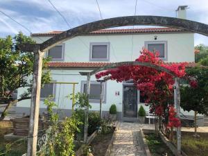 a house with a bunch of flowers in front of it at Casa Almenara in Quinta do Anjo