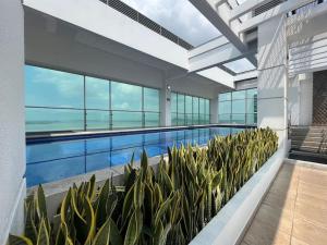 a large swimming pool with plants in a building at Suite en Puerto Santa Ana! in Guayaquil