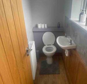 a bathroom with a toilet and a sink at House near city centre in Leicester