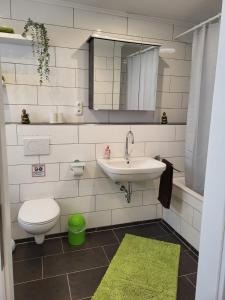 bagno con lavandino, servizi igienici e specchio di Ferienhaus Budenheim a Budenheim