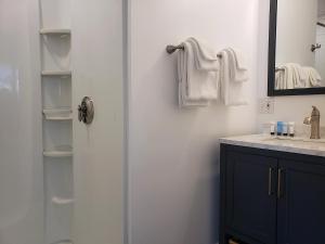 a bathroom with a shower and a sink at Little Fig Hotel in Bar Harbor +30 photos