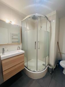 ein Bad mit einer Dusche, einem Waschbecken und einem WC in der Unterkunft Le Paradis - Vieux Port, Studio avec climatisation in Marseille