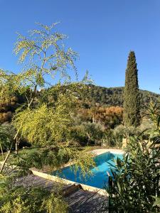 a swimming pool in a garden with trees at Villa Belle Vue in Saint Paul de Vence