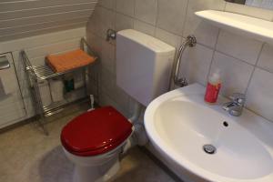 uma casa de banho com um WC vermelho e um lavatório. em Bauernhof-Gästezimmer Waldblick em Buchenbach