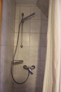 ducha con cabezal de ducha y cortina de ducha en Bauernhof-Gästezimmer Waldblick en Buchenbach