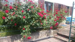 エーベルバッハにあるLa casita lindaのギャラリーの写真