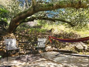 two chairs and a hammock under a tree at Oak Hill Inn in Julian