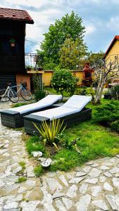 a group of surfboards sitting in a yard at LETO House in Târgu Jiu