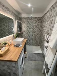uma casa de banho com um chuveiro, um lavatório e uma máquina de lavar roupa em Studio cosy avec terrasse sur la plage em La Seyne-sur-Mer