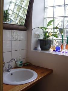 La salle de bains est pourvue d'un lavabo, d'une fenêtre et d'une plante. dans l'établissement Rozmaringos Udvarház, à Dunaföldvár