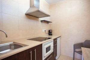 Kuchnia lub aneks kuchenny w obiekcie Apartamentos Don Quijote