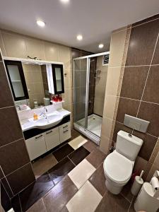 La salle de bains est pourvue de toilettes, d'un lavabo et d'une douche. dans l'établissement Cihangir Ekinci Plaza -2-, à Istanbul