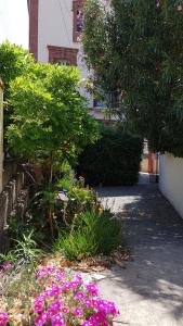 un jardín con flores rosas y árboles y un edificio en Appartement 300 m plage et port, en Banyuls-sur-Mer