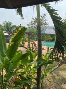 a view of a resort with a palm tree at Inn the bush in Big Eddy