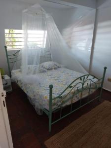 - une chambre avec un lit et une moustiquaire dans l'établissement Bois Canon, à Le Robert