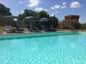 a large swimming pool with chairs and umbrellas at Agriturismo La Palazzina in Palaia