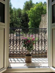 une fenêtre avec une plante en pot sur un balcon dans l'établissement La maison de la Traverse, à Saint-Guilhem-le-Désert