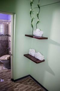 a bathroom with two towels and a toilet on a wall at The Hamilton's Nature Villa in Clarks Town