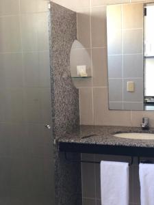 uma casa de banho com um lavatório e um espelho em Manferrari Hotel em Contagem