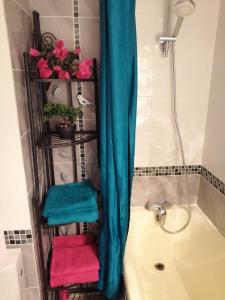 y baño con cortina de ducha junto a la bañera. en Magnifique Studio non fumeur près de la gare, en Béziers 17 fotos más