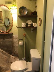 a bathroom with a white toilet and a mirror at Flume's End in Nevada City