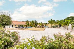um resort com piscina, cadeiras e árvores em ABC Lodges Curacao em Willemstad