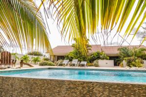 a swimming pool with chairs and a palm tree at ABC Lodges Curacao in Willemstad