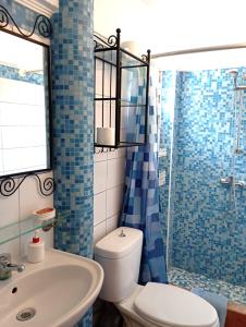 a bathroom with a toilet and a sink and a shower at Naturstein-Mediterranhaus mit Gartenblick in Flogita