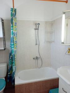 a bathroom with a bath tub and a shower at Naturstein-Mediterranhaus mit Gartenblick in Flogita