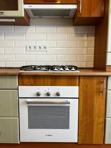 Kuchyň nebo kuchyňský kout v ubytování Eco Apartments Melnyka10