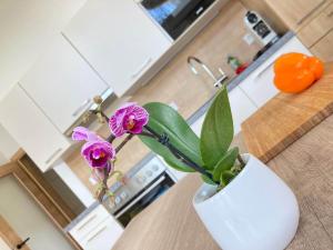 Küche/Küchenzeile in der Unterkunft Appartements Blumenwiese