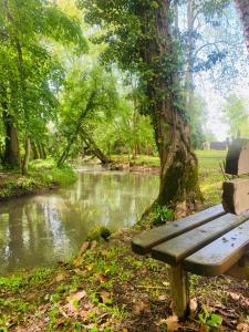 a wooden bench sitting next to a river at Gîte Ô Lunain Nature et Rivière 